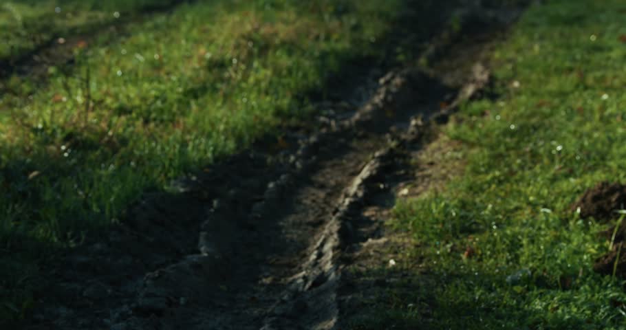 muddy dirt path with deep tire tracks cutting through grass at Lonjsko Polje Krapje