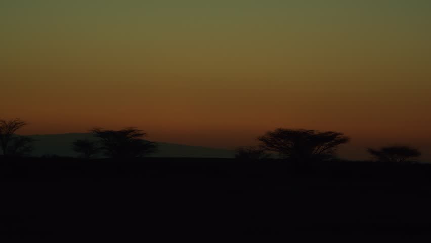 Stunning evening savannah landscape with silhouettes of african acacia against sky and outlines of mountain range at sunset. Magical beauty of nature. Travel and tourism concept