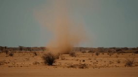 Typical savannah vegetation under hot sun and column of sand whirlwind against blue sky. Shrubs and low trees in landscape with dust devil - Powered by Shutterstock - Get 15% off with code: PIKWIZARD15