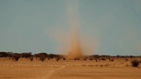 Large column of sand vortex moves quickly over surface of savannah. Dust devil. Landscape with grove of african acacia on edge of desert - Powered by Shutterstock - Get 15% off with code: PIKWIZARD15