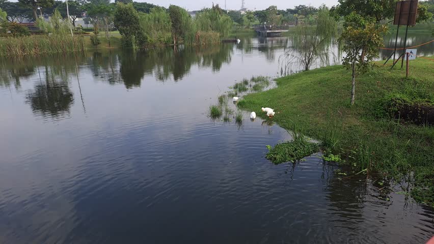 A calming atmosphere in a city center park complete with a lake, a place to calm the mind after a tiring day at work. Holiday time, refreshing time, need peace