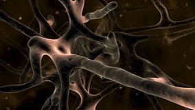 brain 3d animation .electric activity on nerves
 - Powered by Shutterstock - Get 15% off with code: PIKWIZARD15