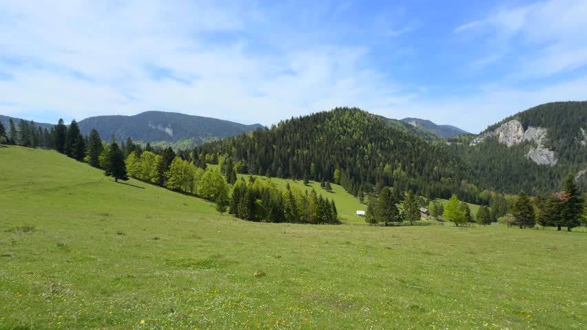 Mountain villages in Romania. 4k video from Transylvania. A picturesque view of rolling green hills and dense conifer forests in Cheile Bicazului, Romania. A peaceful rural landscape under blue sky.
