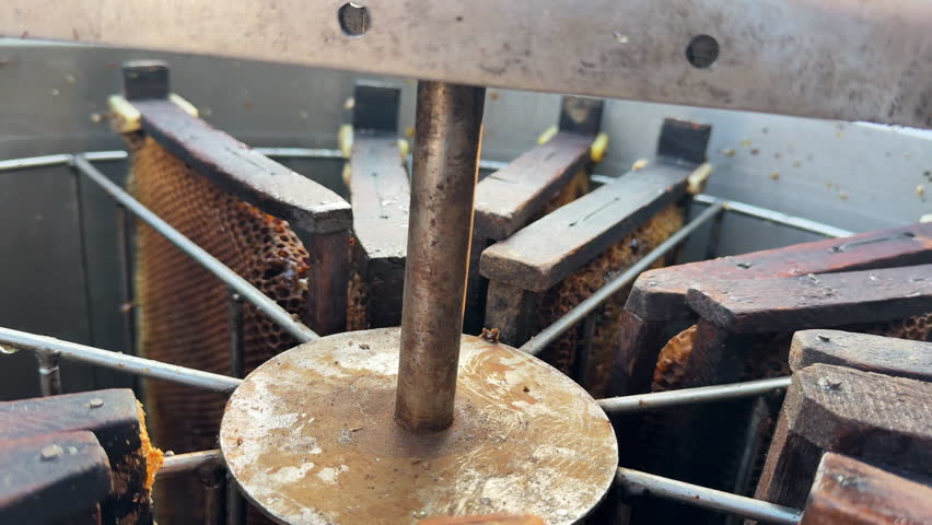 Worker inserts honeycomb frames into honey extractor during honey harvest in bee farm.