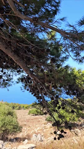 Traveling to Sicily, ladscape of sea