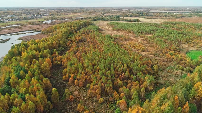 Forest with trees in various stages of fall. The trees are mostly green, but some are brown. Autumn colors of nature, the source of a forest stream and a small village on the edge of the lake. 