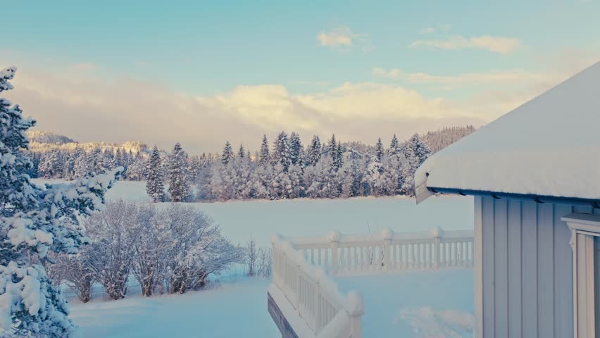 Icy Landscape With Fields And Trees In Winter - Drone Shot