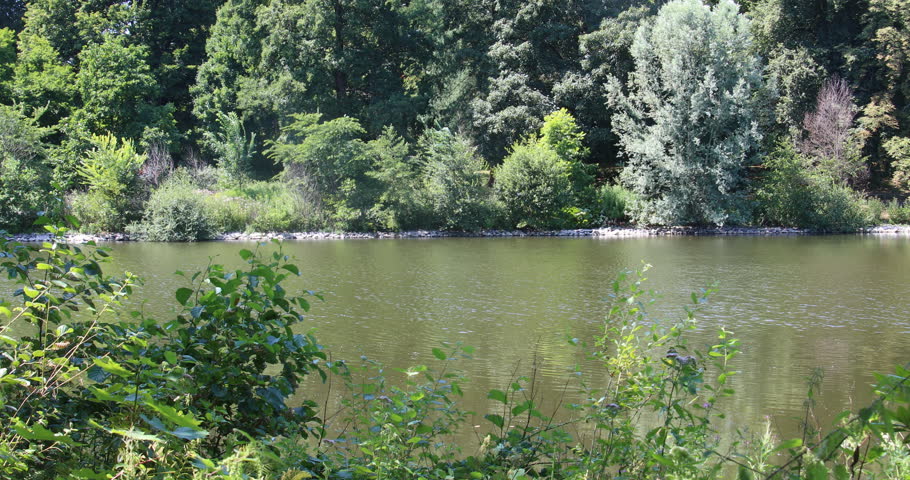 great Lake with trees und bushes