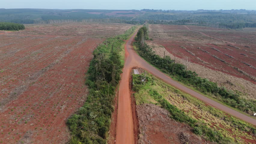 Drone fly above rural road at desolated, deforested area, logging wood industry landscape