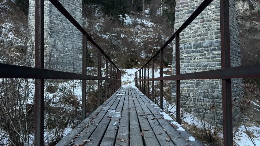 Dog outdoor under Landwasser Viaduct bridge Switzerland winter landscape
