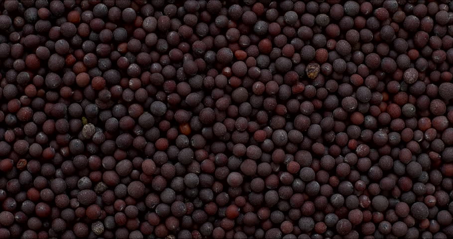 Brown mustard seeds background texture. Close-up. Table spin.