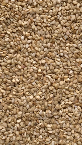 Unhulled sesame seeds background texture, close-up. A common ingredient in cuisines worldwide, with one of the highest oil contents of any seed. Table spin. Vertical video.