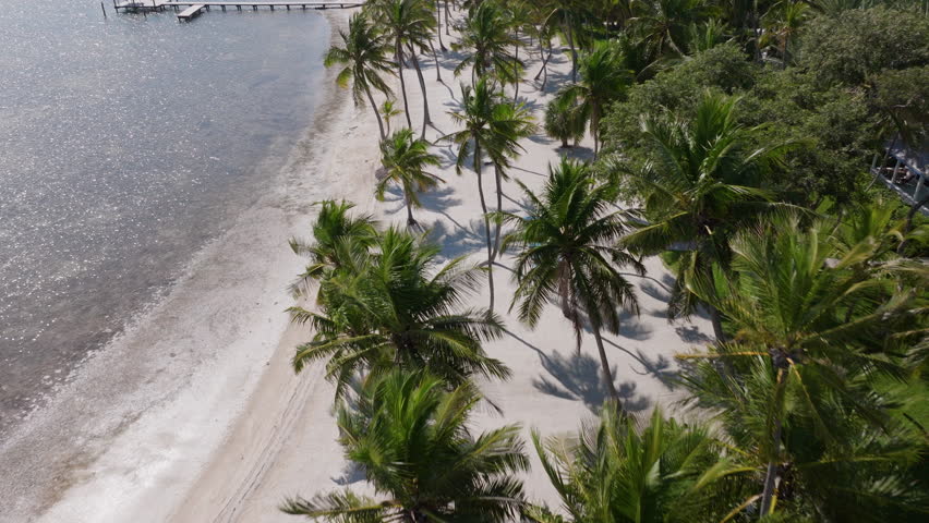 Stunning aerial perspective of the serene beach in Key West, Florida, showcasing palm trees and crystalclear waters