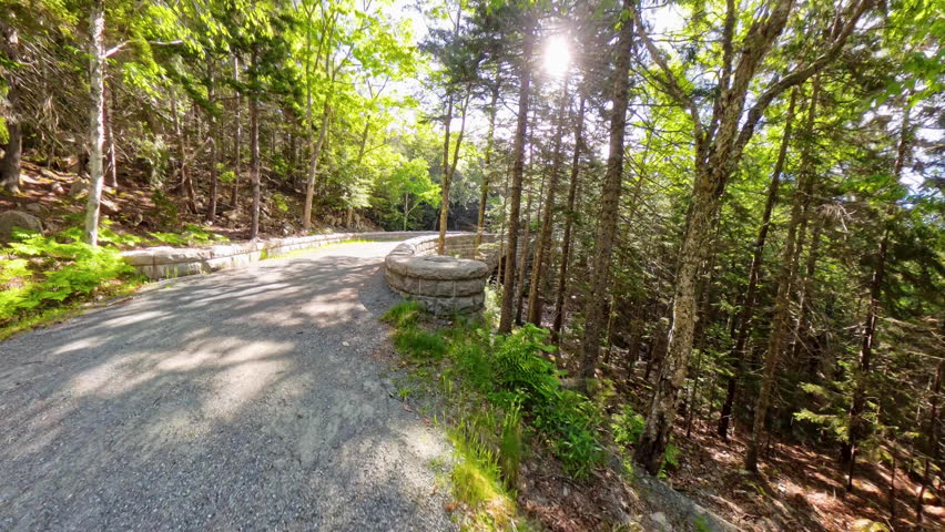 Approaching Carriage Road in Acadia National Park