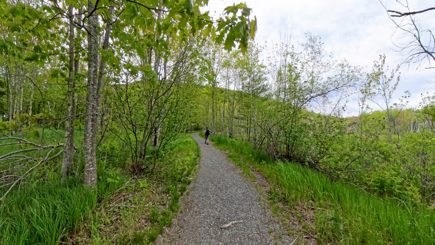 Flat Hiking on Jesup Path in Acadia National Park
