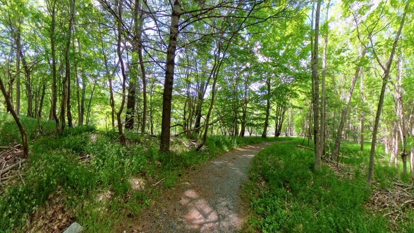 Hiking on Smooth Trails in Acadia National Park