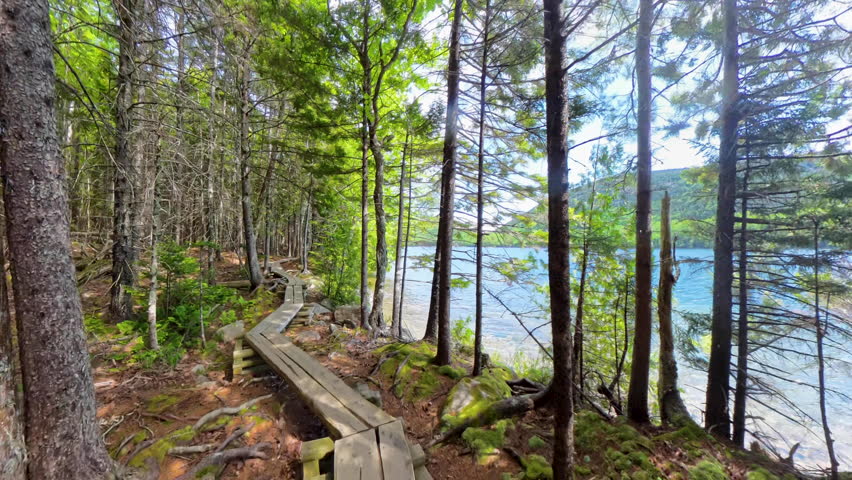 Hiking Over Boardwalk Along Jordan Pond in Acadia National Park
