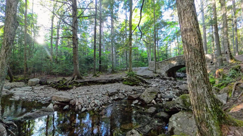 Panning Over Stream Running Below Carriage Road Bridge in Acadia National Park