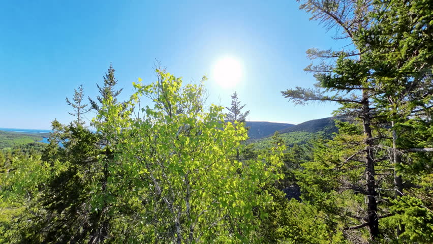 Rising Up Over Views of Eagle Lake in Acadia National Park