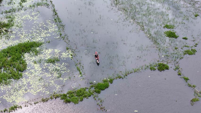 Fisherman in boat in middle of swamp landscape of Indonesia, aerial orbit view