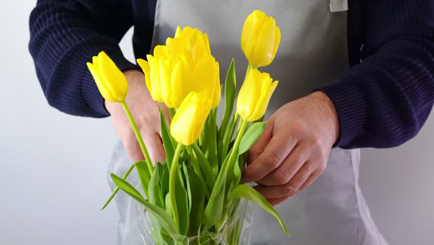 Arranging vibrant yellow tulips in vase for elegant floral decoration