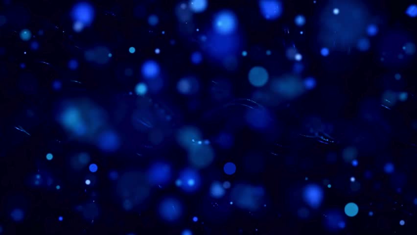 Shutterstock Video