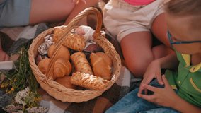 Close-up of hands selecting baked snacks from a picnic basket while seated on a checkered blanket, one child drops a pastry and chooses another as sunlight highlights the warm outdoor setting - Powered by Shutterstock - Get 15% off with code: PIKWIZARD15