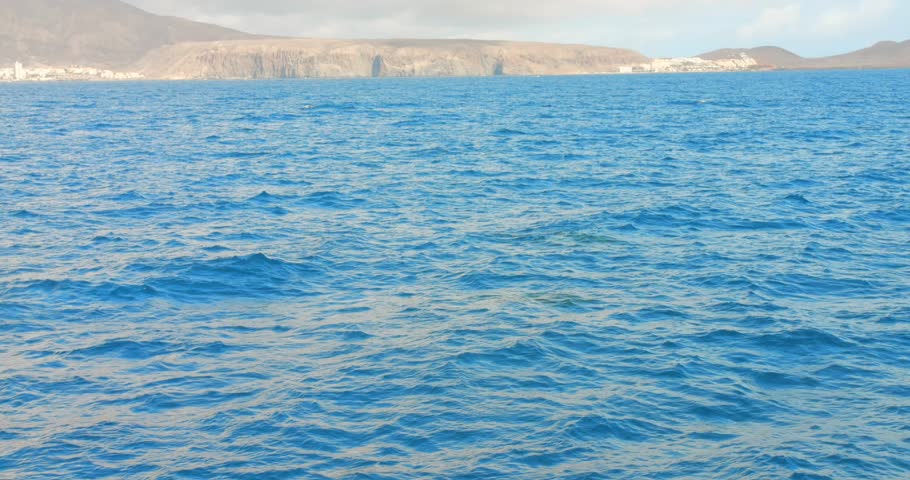 Dolphin Watching - Group Of Dolphins Swimming In The Ocean Seen From The Boat. - POV shot