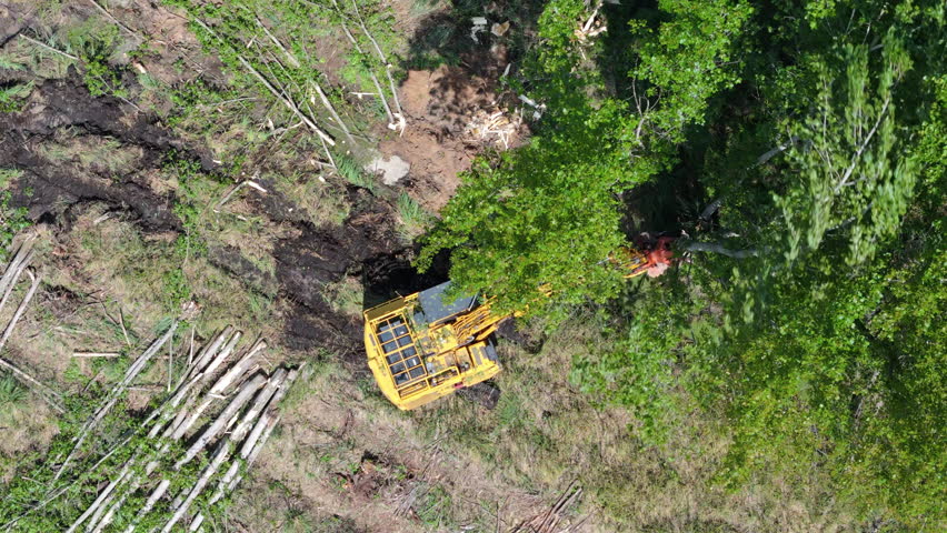 Aerial view showing a harvester machine operating in a deforested area. The clip captures the cutting and gathering of trees, showcasing the forest management process from a bird’s-eye perspective.