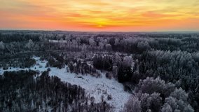 Moving drone view of snowy forest during sunset. Trees covered in snow. - Powered by Shutterstock - Get 15% off with code: PIKWIZARD15