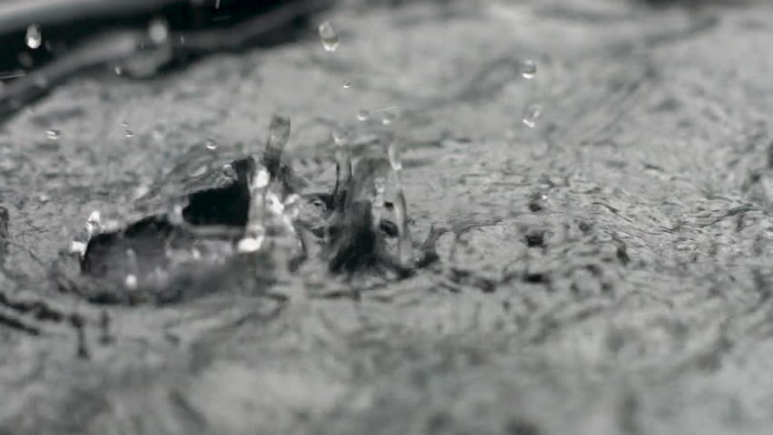 Raindrops fall gently in beauty of dark cloudy season. Nature's rhythm unfolds in every drop, creating a serene and reflective atmosphere. slow motion vedio