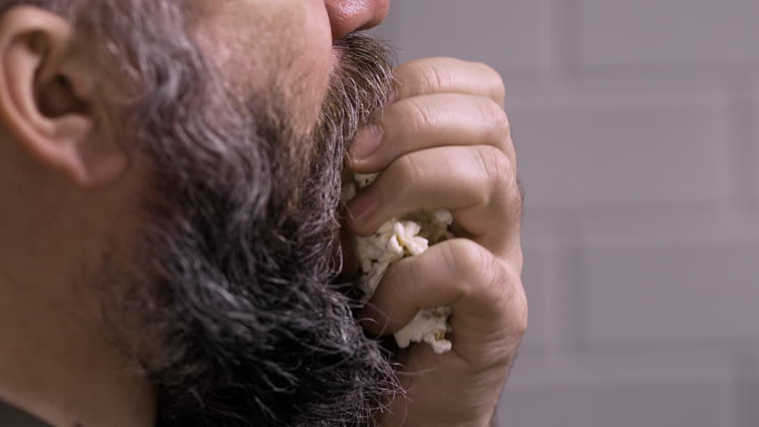 Shutterstock Video
