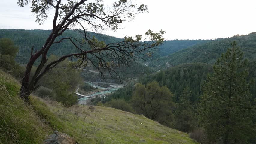 Scenic view of a mountain canyon with a winding river and trees