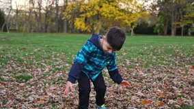 happy kid playing in park with dry autumn leaves throwing in air.preschooler boy lying on ground with pumpkins as muscles. child hiding over red leaves.siblings brother on picnic blanket playing. - Powered by Shutterstock - Get 15% off with code: PIKWIZARD15