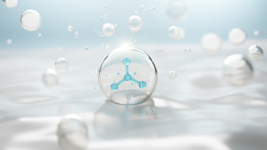 Shutterstock Video