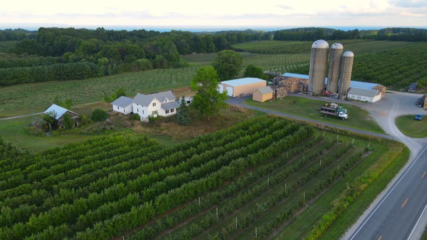 Green farmland and building complex near countryside road in USA, aerial view