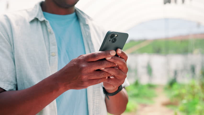 Person, hands and farmer with phone in greenhouse for online research, agro business or tips on farm. Closeup, environmentalist or texting with mobile smartphone for communication or conservation app