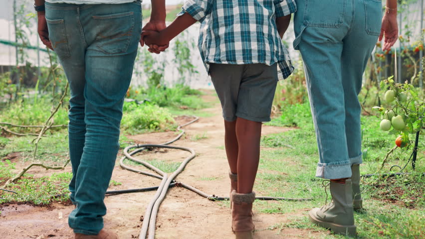 Family, back and walking with holding hands on farm for agriculture or natural sustainability in greenhouse. Dad, mom and child with farmland for agro business, conservation or growth in nature