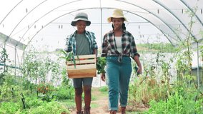 Woman, child and vegetable crate on farm, carrying produce and teamwork with organic agriculture. Black family, eco friendly and help with sustainable business, supply chain and growth at greenhouse - Powered by Shutterstock - Get 15% off with code: PIKWIZARD15