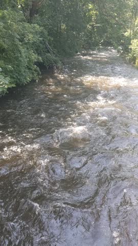 A river rushes through a shady forest with rays of sun penetrating the canopy in spots and landing on the water.