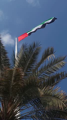 UAE flag waving in the cloudy sky above the palm trees in Abu Dhabi. High quality 4k footage.
