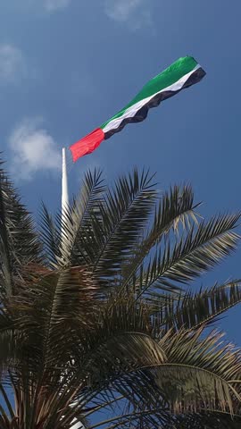 UAE flag waving in the cloudy sky above the palm trees in Abu Dhabi. High quality 4k footage.