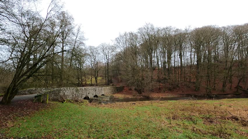 Wooden Bridge Over River in Rövarekulan Nature Reserve, Skåne, Sweden