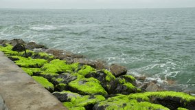 The seawall covered in green algae is hit by ocean waves - Powered by Shutterstock - Get 15% off with code: PIKWIZARD15