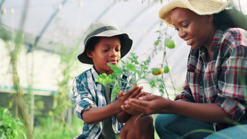 Education, mother and son in farm greenhouse for learning, planting crops or sustainability. Agriculture, black family and farming with parent teaching child how to harvest organic herb growth