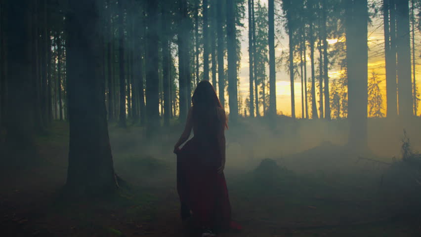 A woman wandering through a mysterious, fog-filled forest at dusk.