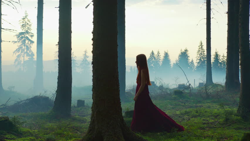 A woman explores a mystical forest in solitude.