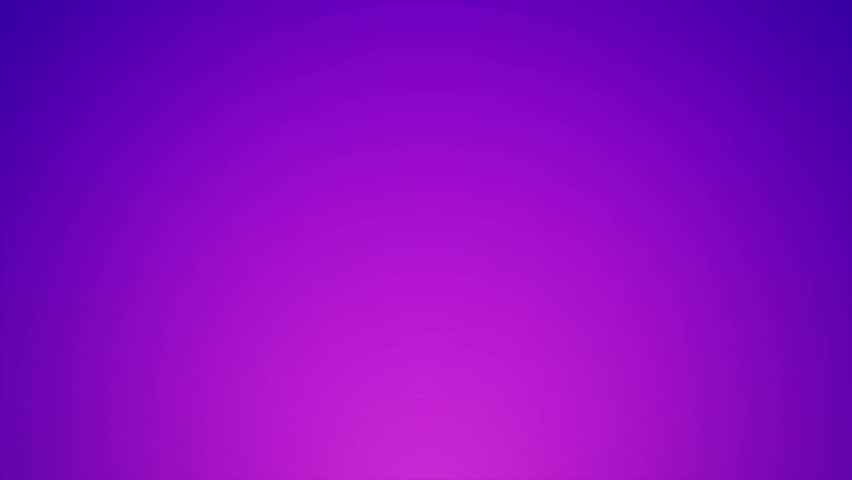 Shutterstock Video