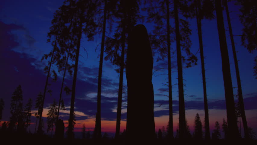 A silhouette of a woman at twilight in a serene forest.