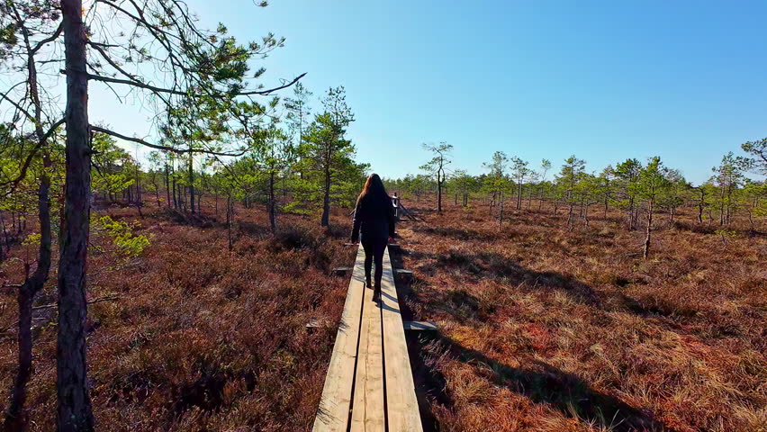 Majestic swamp and beautiful woman walking, back view